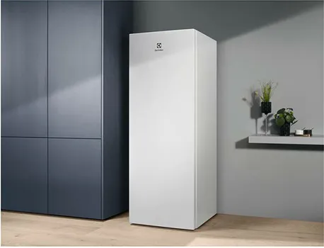 ELECTROLUX LRB1DE33W (4 / 5)