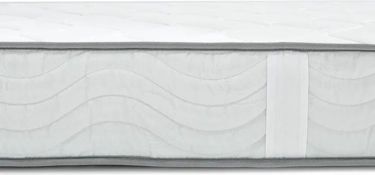 SAGA MADRAC ERATO (5 / 6)