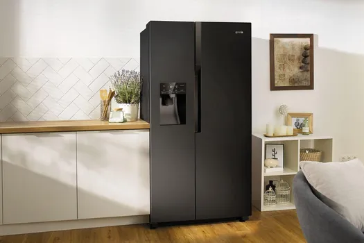 GORENJE NRS 9182 VB SIDE-BY-SIDE [610L] (8 / 9)