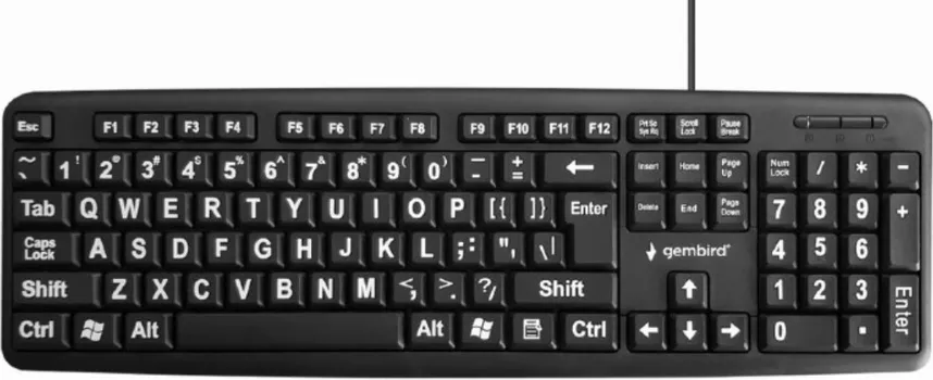 STANDARDNA TASTATURA SA VELIKIM SLOVIMA, AMERIČKI RASPORED, CRNA (1 / 2)