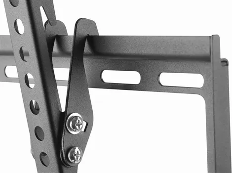 GEMBIRD WM-70T-03 [70in / 35kg max] (6 / 11)