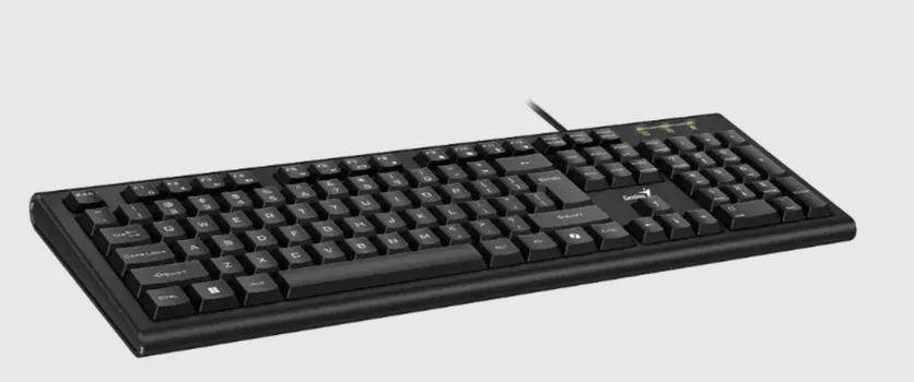 GENIUS KB-113 AL COPILOT USB US CRNA TASTATURA (7 / 10)