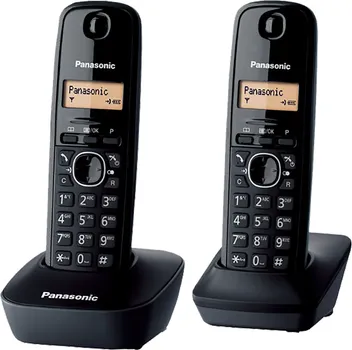 PANASONIC KX-TG1612FXH (2 / 3)