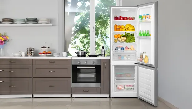 VIVAX CF-259ELF S [197L / 65L / LOW FROST] (8 / 9)