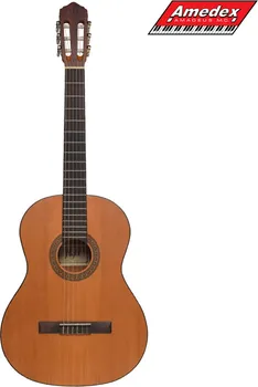 GITARA KLASIČNA FLIGHT C-225 NAT (1 / 2)
