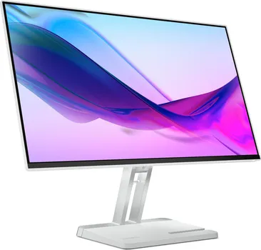 LENOVO L24I-4B [24 / FHD / IPS / 4MS] (13 / 15)