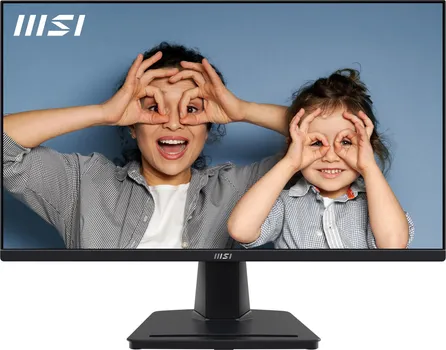 PRO MP251 [25 / FHD / 100HZ / IPS] (11 / 17)
