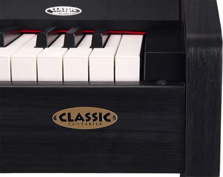CLASSIC CANTABILE DP-210 SM DIGITALNI KLAVIR SA 88 DIRKI PUNE TEZINE (4 / 6)