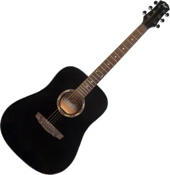 FLIGHT D-130 BK AKUSTICNA GITARA (1 / 5)