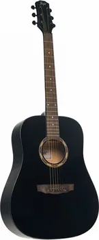 FLIGHT D-130 BK AKUSTICNA GITARA (2 / 5)