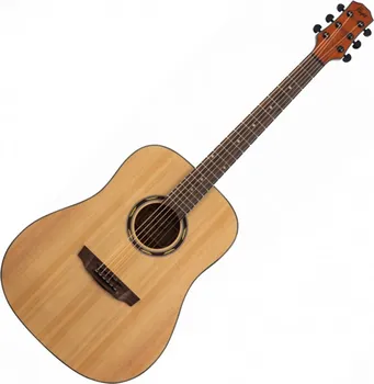 FLIGHT D-130 NA AKUSTICNA GITARA (1 / 5)