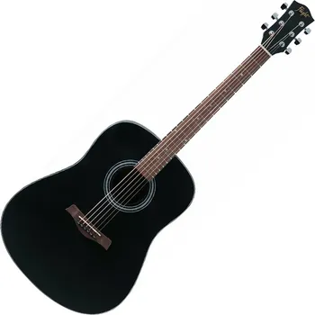 FLIGHT D-175 BK AKUSTICNA GITARA (1 / 4)