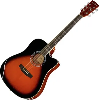 HARLEY BENTON D-120CE VS AKUSTICNA GITARA SA OZVUKOM (1 / 8)