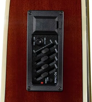 HARLEY BENTON D-120CE VS AKUSTICNA GITARA SA OZVUKOM (8 / 8)