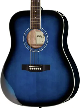 HARLEY BENTON D-120TB AKUSTICNA GITARA (3 / 6)
