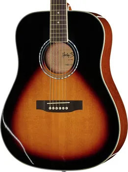 HARLEY BENTON D-120VS AKUSTICNA GITARA (3 / 8)