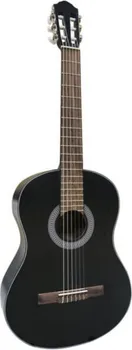FLIGHT C-100 BK KLASICNA GITARA 4/4 (1 / 1)