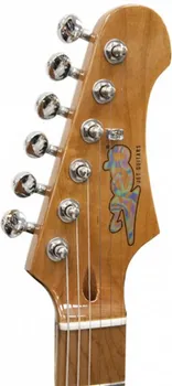 JET JT-300 SB ELEKTRICNA GITARA T-STYLE (4 / 4)