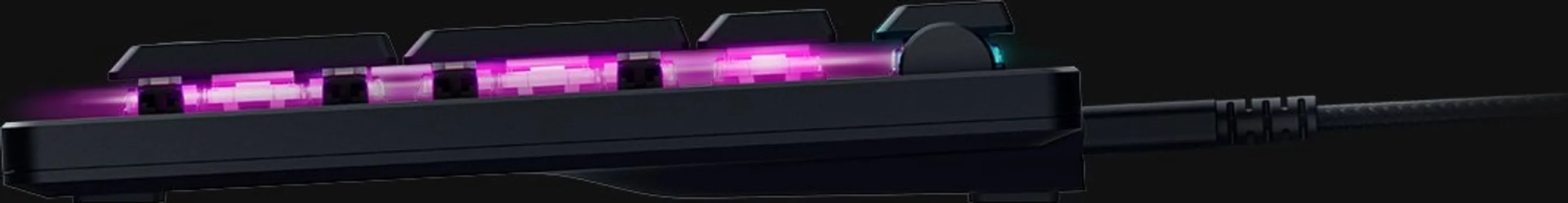 RAZER DEATHSTALKER V2 (3 / 28)