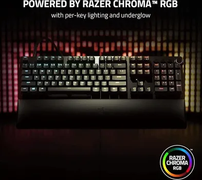 RAZER HUNTSMAN V2 ANALOG (11 / 18)