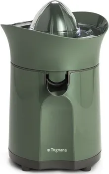 TOGNANA CITRUSETA 100W IRIDEA GREEN (1 / 1)