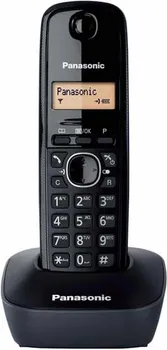 PANASONIC KX-TG1611FXH (3 / 4)