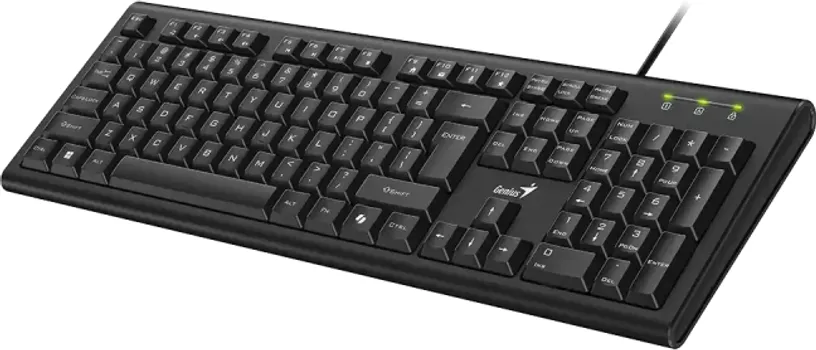 GENIUS KB-113 AL COPILOT USB YU CRNA TASTATURA (3 / 4)
