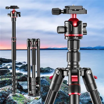ZOMEI G200 TRIPOD 2M (4 / 14)