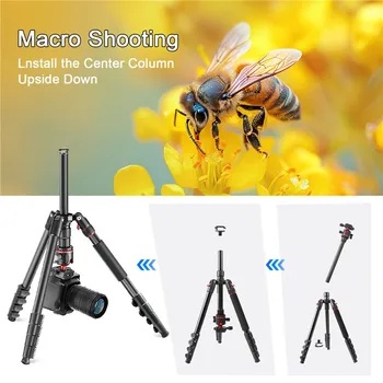 ZOMEI G200 TRIPOD 2M (5 / 14)