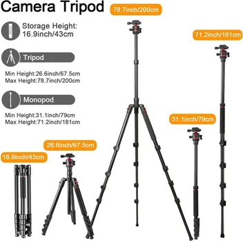 ZOMEI G200 TRIPOD 2M (6 / 14)