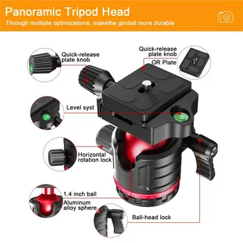 ZOMEI G200 TRIPOD 2M (8 / 14)
