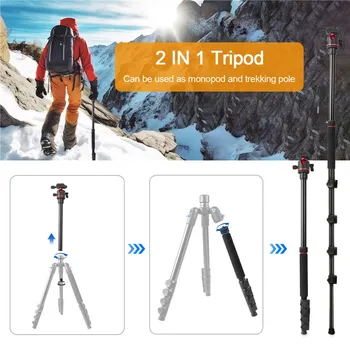 ZOMEI G200 TRIPOD 2M (10 / 14)