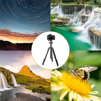 ZOMEI G200 TRIPOD 2M (12 / 14)