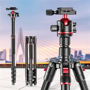 ZOMEI G200 TRIPOD 2M (13 / 14)