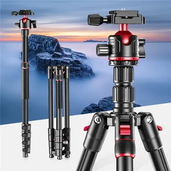 ZOMEI G200 TRIPOD 2M (14 / 14)