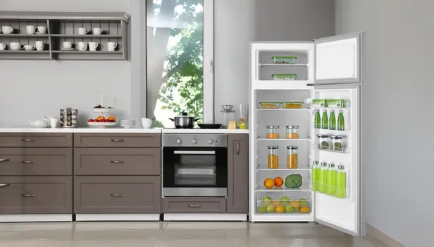 VIVAX HOME DD-235E S [194L / 41L] (7 / 9)