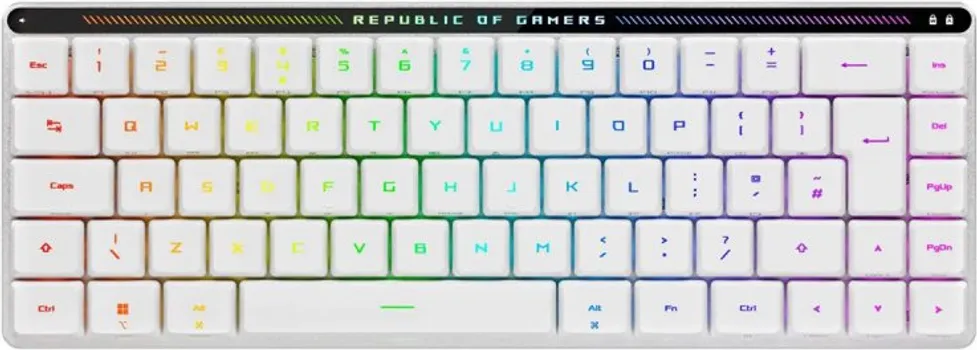 ASUS ROG FALCHION RX [WIRELESS / MECHANICAL] (5 / 20)