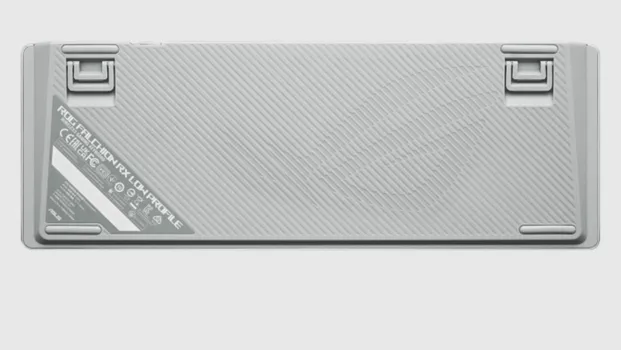 ASUS ROG FALCHION RX [WIRELESS / MECHANICAL] (11 / 20)