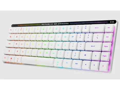 ASUS ROG FALCHION RX [WIRELESS / MECHANICAL] (12 / 20)