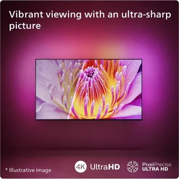 PHILIPS 65 PUS8109 [65 / UHD] (19 / 24)