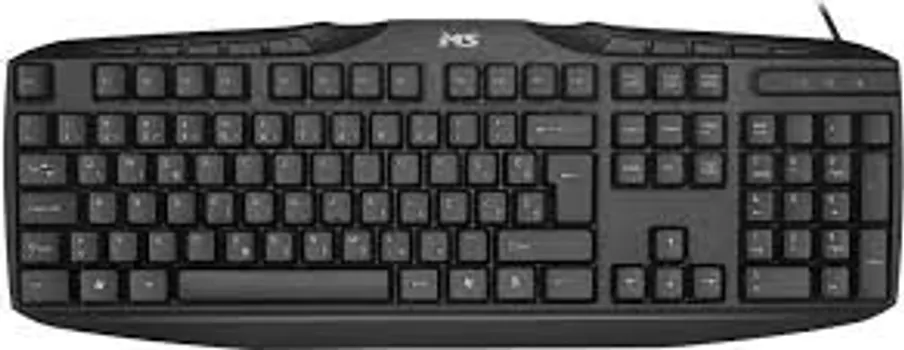 MS MASTER C100 (5 / 5)