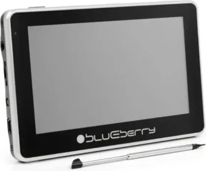 BLUEBERRY 2GO447