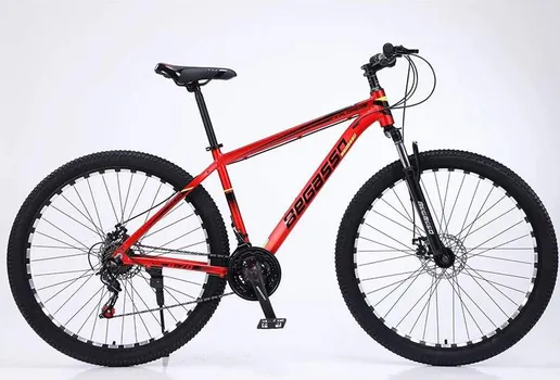 BEGASSO TY-1049 BICIKL 29 INČA CRVENI (1 / 1)