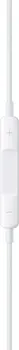 APPLE EARPODS [USB-C] (11 / 15)