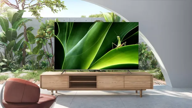 TCL 43P735 (5 / 15)